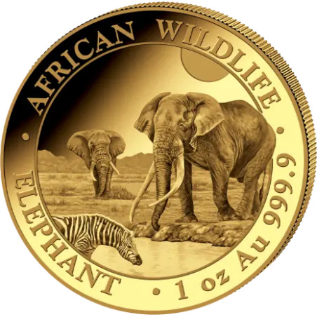 Zlatá mince 1 Oz African Wildlife Elephant 2026