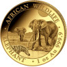 Zlatá mince 1 Oz African Wildlife Elephant 2026