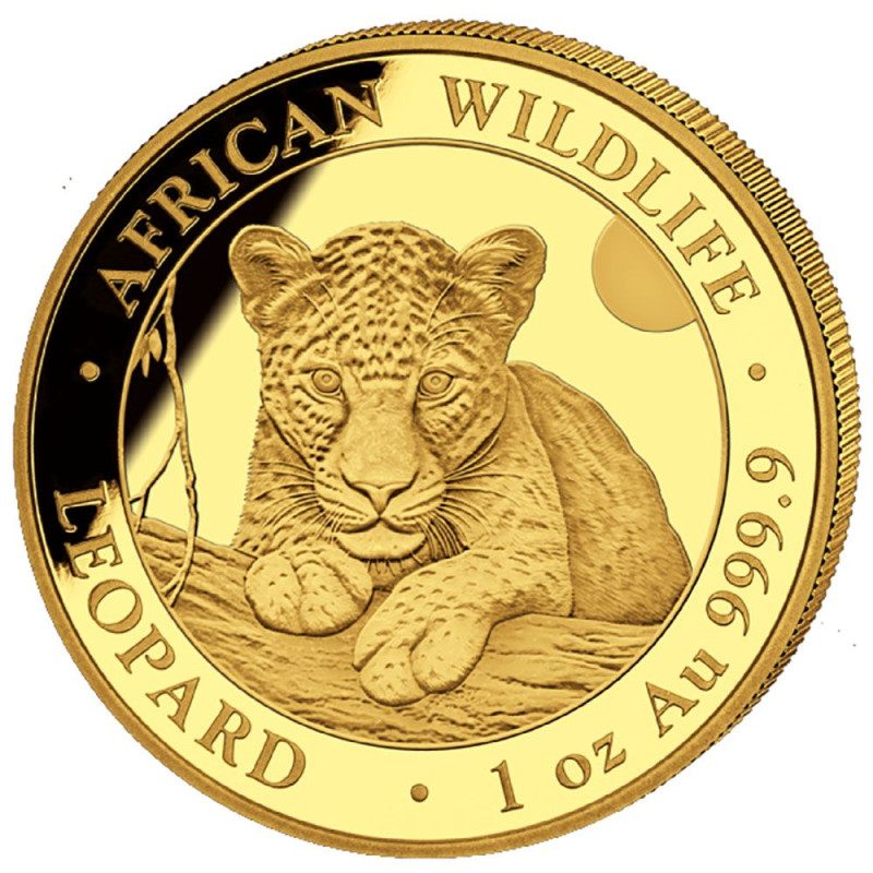 Zlatá mince 1 Oz African Wildlife Leopard 2025