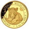 Zlatá mince 1 Oz African Wildlife Leopard 2025