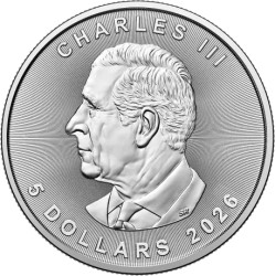 Stříbrná mince 1 Oz Maple Leaf 2026