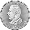 Stříbrná mince 1 Oz Maple Leaf 2026